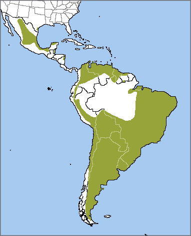 Aplomado Falcon range map by ABC