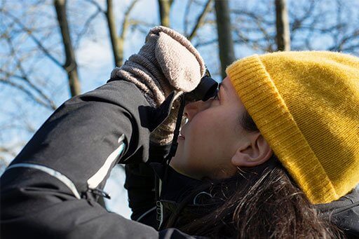 Learning to identify backyard birds takes time and patience.