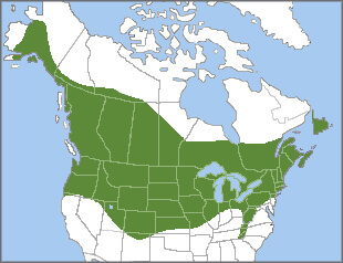 Resplendent Quetzal range map, NatureServe