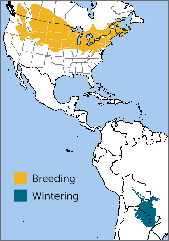 Bobolink range map