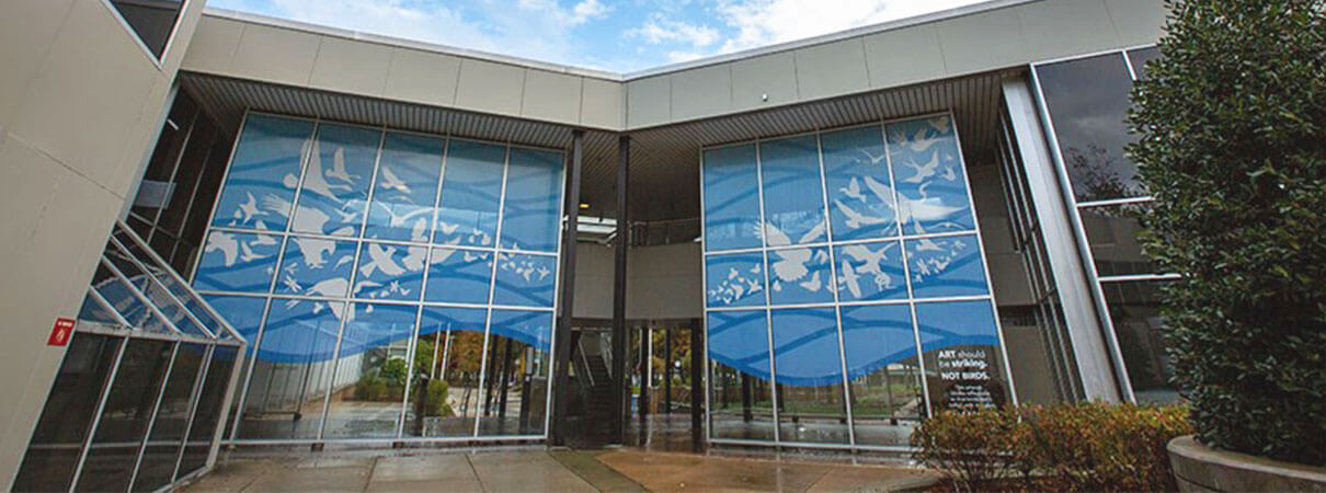 Bird-friendly Breezeway at Stockton University. Photo by Susan Allen