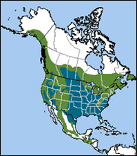 Brown-Creeper Map, NatureServe