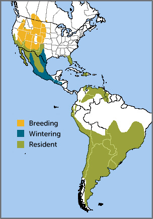 Burrowing Owl range map by ABC