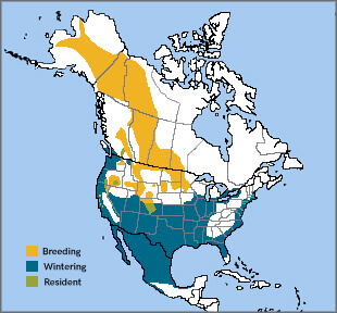 Canvasback range map, NatureServe