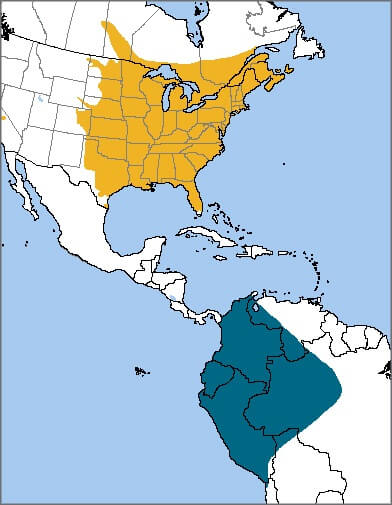 Chimney Swift range map, NatureServe