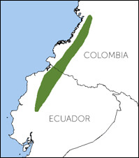 Club-winged Warbler map, NatureServe