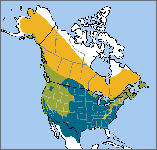 Dark-eyed Junco range map, NatureServe