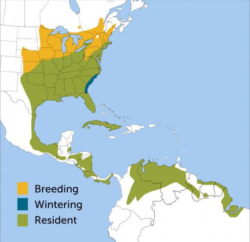 Eastern Meadowlark range map by ABC