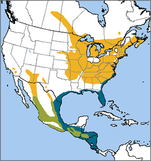 Eastern Whip-poor-will map, NatureServe