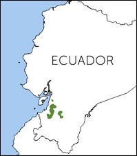 El Oro Parakeet map, NatureServe