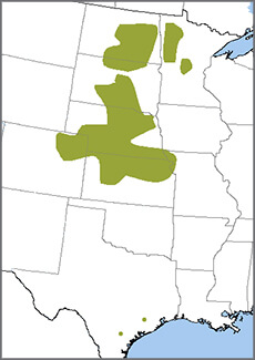 Greater Prairie-Chicken map, NatureServe