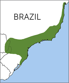 Green-headed Tanager map, NatureServe