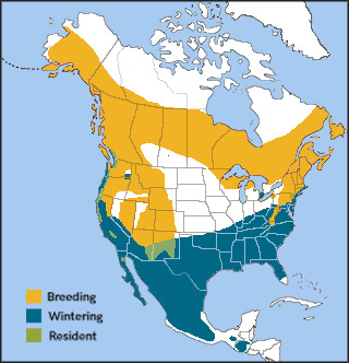 Hermit Thrush range map