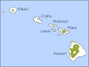 'I'iwi range map, Birds of North America, https://birdsna.org maintained by the Cornell Lab of Ornithology