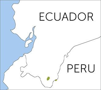 Jocotoco Antpitta map by ABC