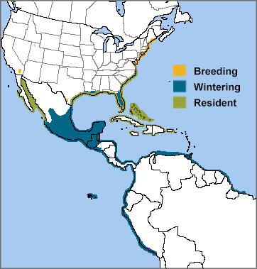 Laughing Gull range map by ABC