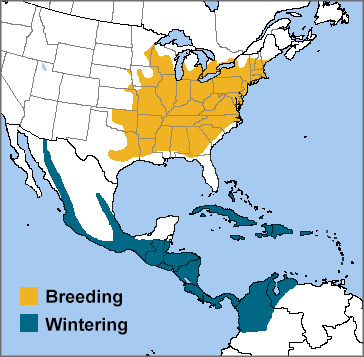 Louisiana Waterthrush range map by ABC