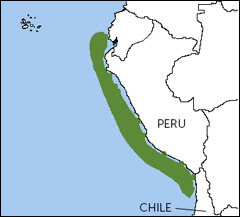 Markham's-Storm-petrel-Map2_NatureServe