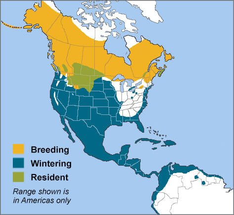 Merlin range map