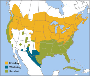 Wood Duck range map, ABC