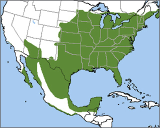 Northern Cardinal Range Map by ABC