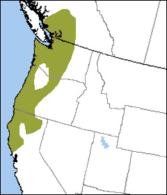 Northern Spotted Owl map, NatureServe