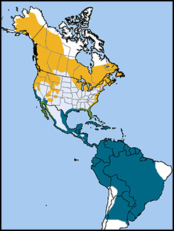 Osprey map, NatureServe