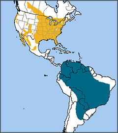 Purple Martin map, NatureServe