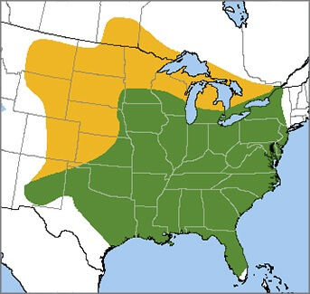 Range Map for Red-headed Woodpecker