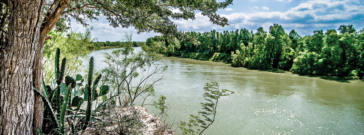 More than 700 species occur in the Rio Grande region, but the riparian forests, brushlands, grasslands, and desert these birds depend on face significant threats along both sides of the river. Photo by digidreamgrafix_Shutterstock