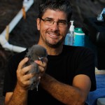 Robby Kohley with Hawaiian Petrel, Chris Farmer