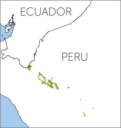 Royal Sunangel range map by Birds of the World.