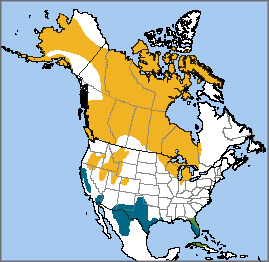 Sandhill Crane map, NatureServe