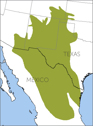 Scaled Quail range map by Nature Serve