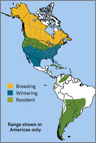 Short-eared Owl range map, NatureServe