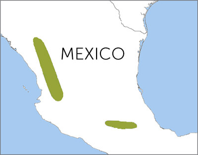 Sierra Madre Sparrow range map, Cornell