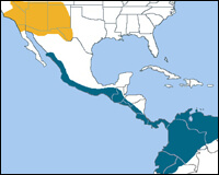 Southwestern Willow Flycatcher Map, USGS