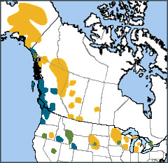 Trumpeter Swan map, NatureServe