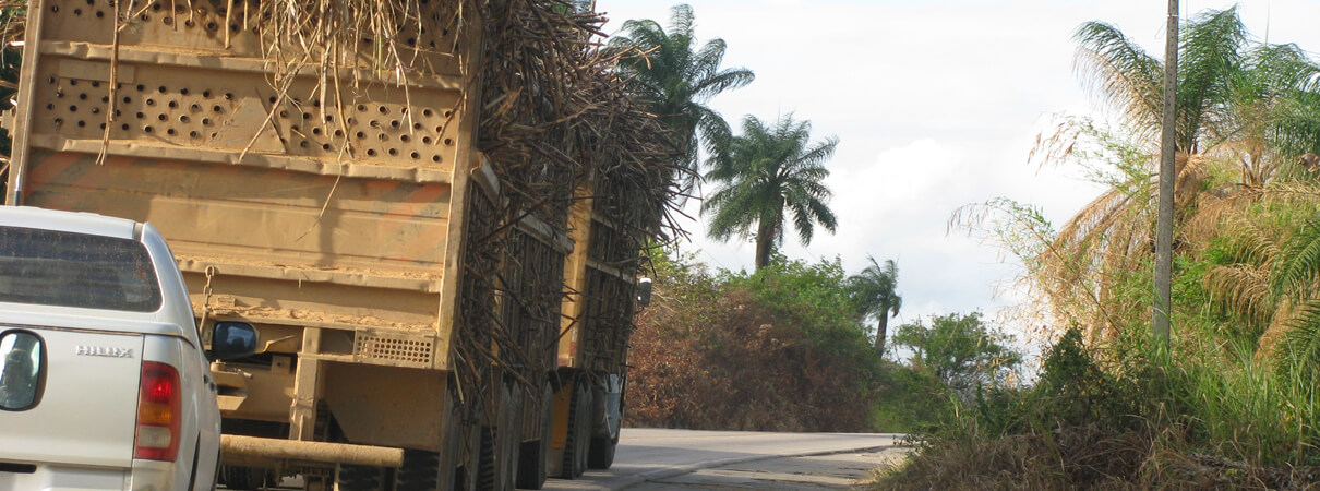 The sugarcane industry can transformed vast swathes of Brazil's northeastern countryside into monocultures of sugarcane. Photo by Bennett Hennessey