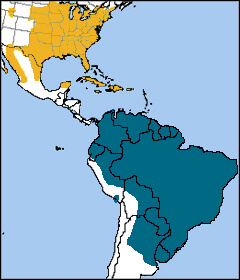 Yellow-billed Cuckoo map, NatureServe