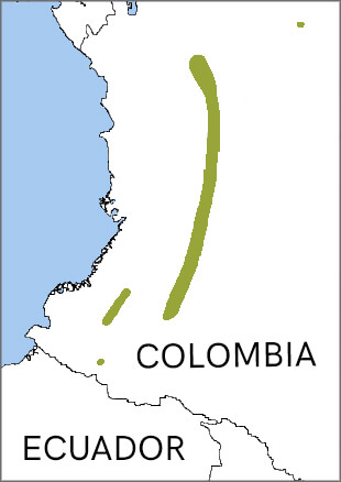 Yellow-eared Parrot range map, NatureServe